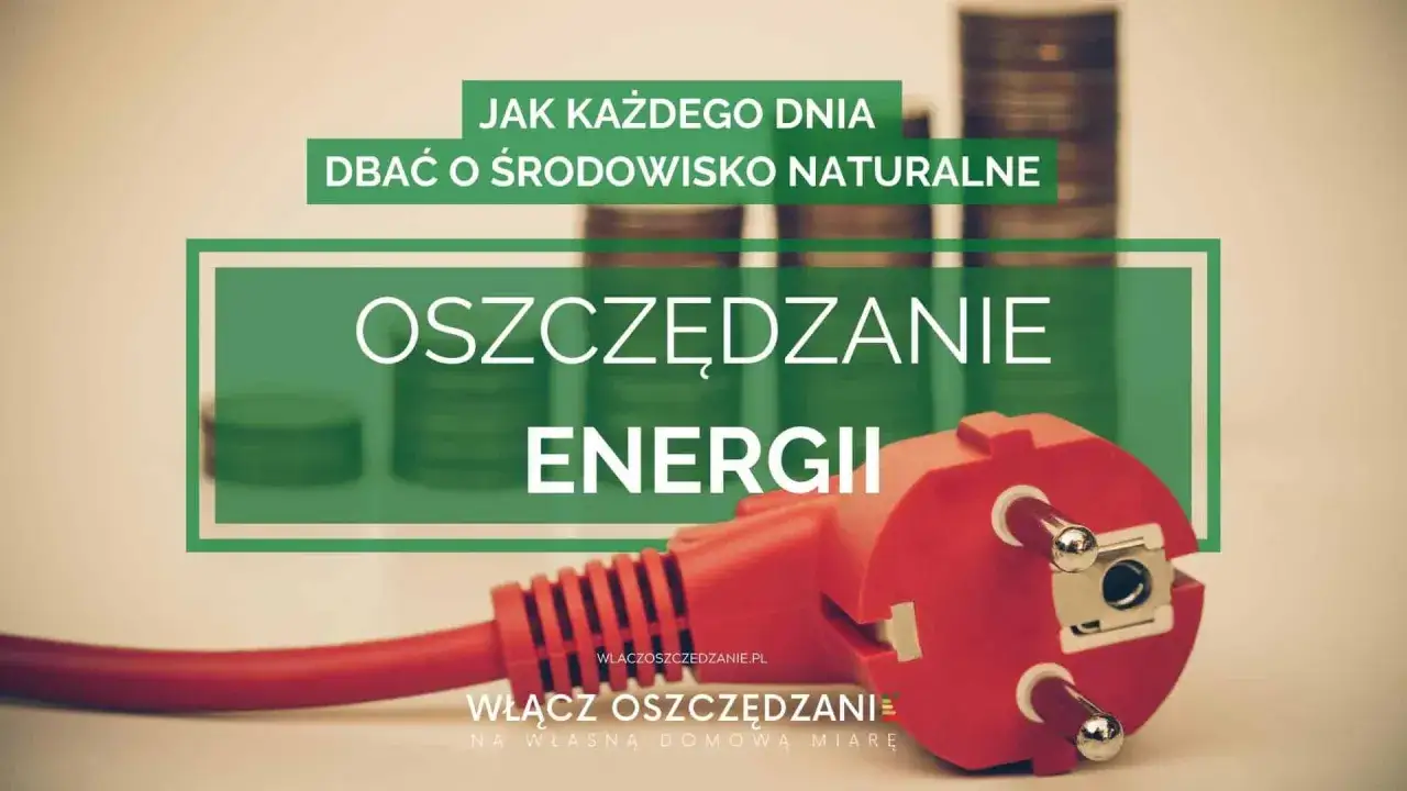 Oszczędzanie energii to klucz do zmniejszenia prognozowanej wielkości rocznego zużycia dla domu. Czerwona wtyczka symbolizuje energię, a stos monet - oszczędności.