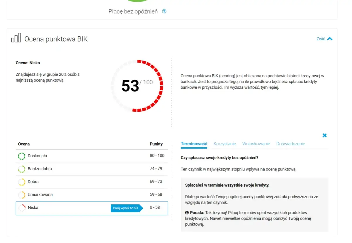 Ocena punktowa BIK: 53/100. Niska ocena punktowa wpływa na zdolność kredytową. Pilnuj termin&oacute;w spłat, by ją poprawić.